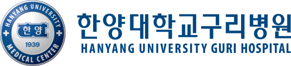 hanyang logo